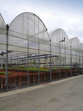 How-to-select-and-build-greenhouses