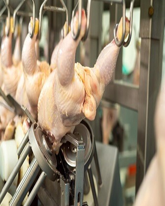 Poultry Processing