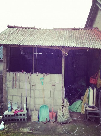 6 Agriculture Problems in Nigeria—and Solutions